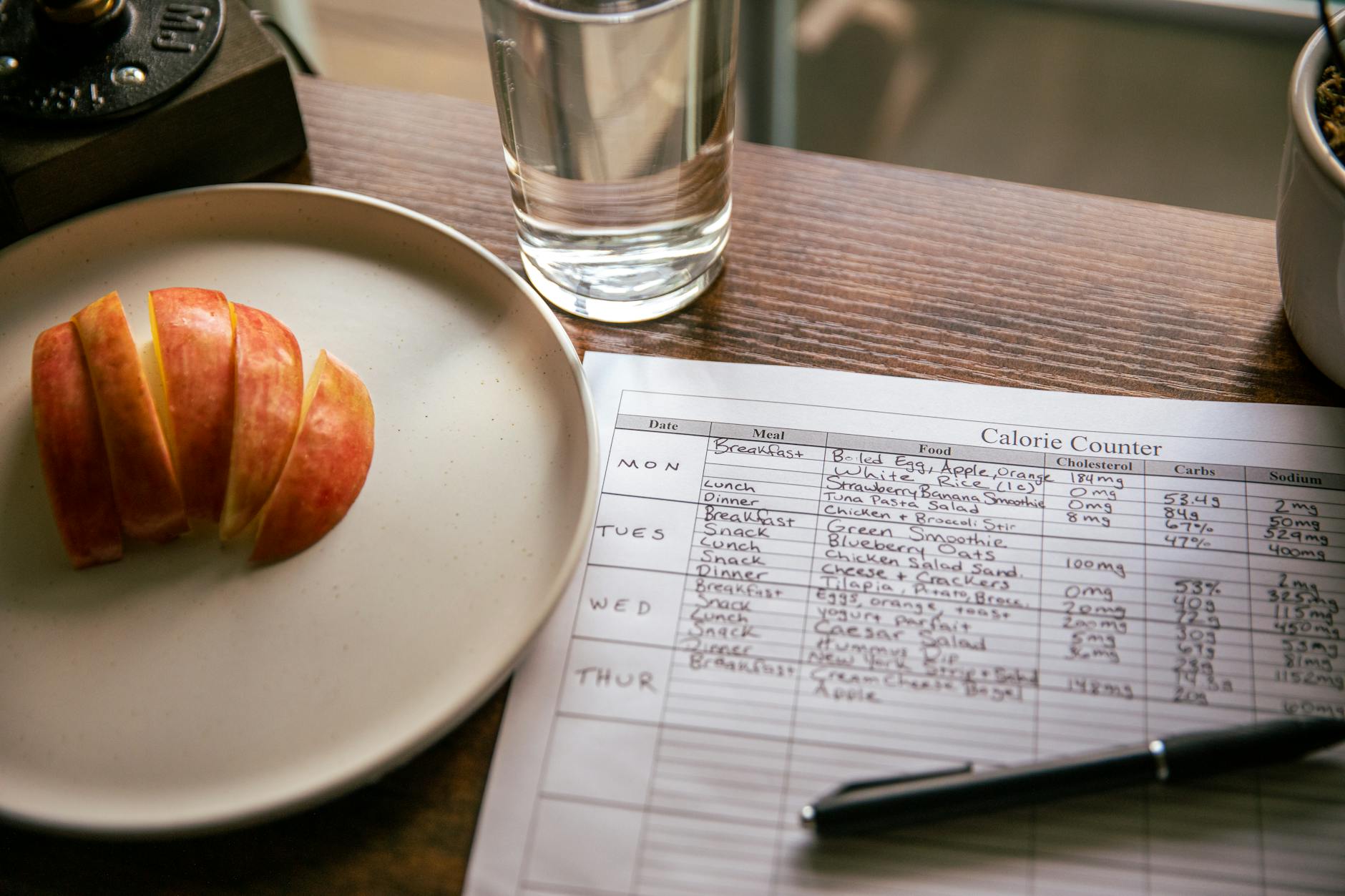 ADHD and Forgetting to Eat: Tips to Stay Nourished All Day 